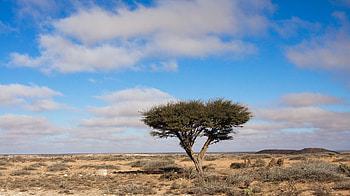 Somalia travels, United States Department HD wallpaper
