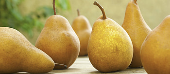 Popular, Spanish pears, Taste, Fruity HD wallpaper