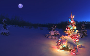 Landscape, Winter, New Year, Snow, Fir-Trees HD wallpaper