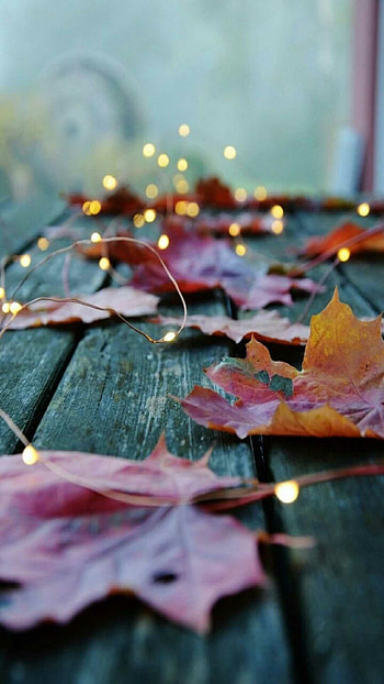 fall , Autumn HD phone wallpaper
