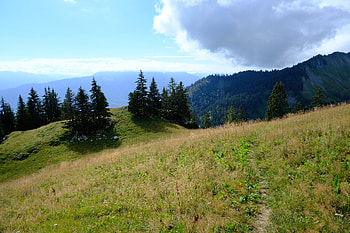 Landscape, Nature, Trees, Grass, Mountains, Path HD wallpaper