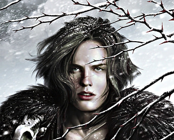 Fantasy guy, winter, black, art, man, nell-fallcard, branch, fantasy, throw me to the wolves, guy HD wallpaper