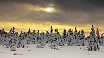 Snow, , Winter HD wallpaper