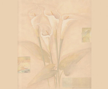 Calla Lilies, squares, beige, art, flowers HD wallpaper