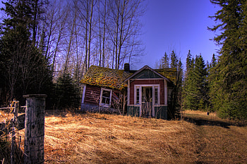 Landscape, Nature, Forest, Small House, Lodge HD wallpaper