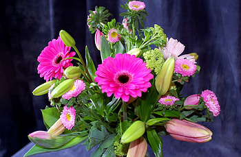 Flowers, Tulips, Gerberas, Greens, Bouquet, Buds, Composition HD wallpaper