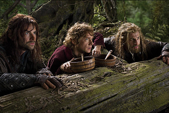 Fili, Kili, Bilbo, Foto, Fanpop HD wallpaper