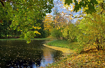 Nature, Autumn, Leaves, Lake HD wallpaper