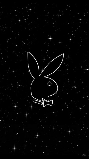 Conejo, espació, estrellas HD phone wallpaper