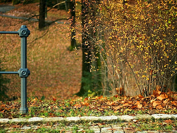 Nature, Stones, Autumn, Leaves, Bush, Track, Column HD wallpaper