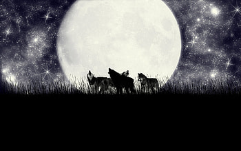 Wolves & Moon, lawn, stars, moon, wolfs HD wallpaper