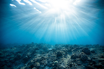 Nature, Coral, Shine, Light, Ocean, Underwater World HD wallpaper