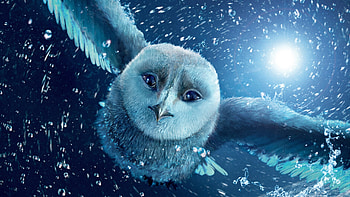 Legend of the Guardians: The Owls of Ga'Hoole, Striking backdrops, Epic adventure, Majestic owls HD wallpaper