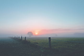 Peaceful morning landscape with fog and sunrise over a fenced countryside field. HD wallpaper