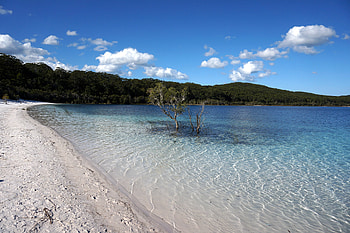 Fraser Island , Attractions trip moments, Travels, Fraser Island HD wallpaper