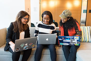 Three women working together on laptops in a casual office setting, emphasizing teamwork and collaboration. HD wallpaper