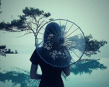 Mysterious Woman, back, trees, umbrella, woman HD wallpaper