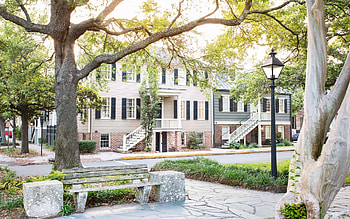 Washington Square garden Savannah, Lucky Savannah HD wallpaper