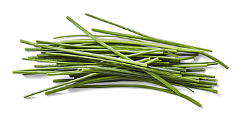 Easiest herbs to grow, Garden expert, Forks over knives, Home HD wallpaper