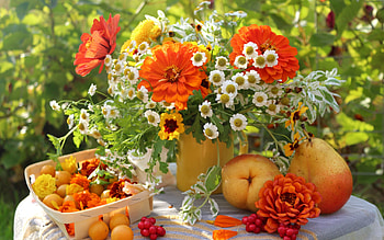 Plants, Flowers, Bouquets HD wallpaper