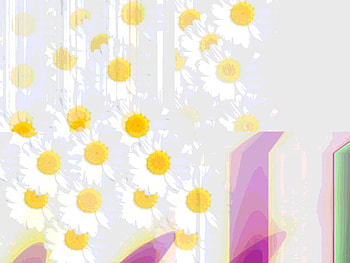 Flowerdance, white, yellow, flower HD wallpaper