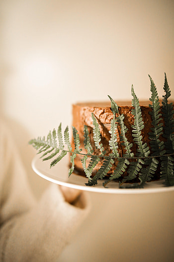 Food, Desert, Fern, Cake, Leaflet HD phone wallpaper