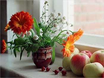 window with flowers and fruits, art , still life, window, nature, flowers, fruits, nice HD wallpaper