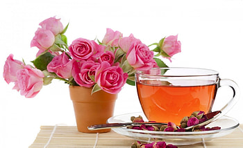 Tea Time, still life, pink, roses, blossoms, cup HD wallpaper