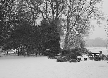 Winter, Nature, Trees, Park, Table, Snowfall HD wallpaper