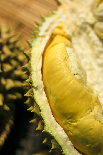 About Durian, Information source, Knowledge hub, Durian facts HD phone wallpaper