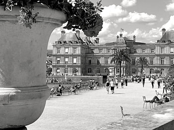 B&W Paris, europe, city, graphy, paris, , , black and white, wall, graph HD wallpaper