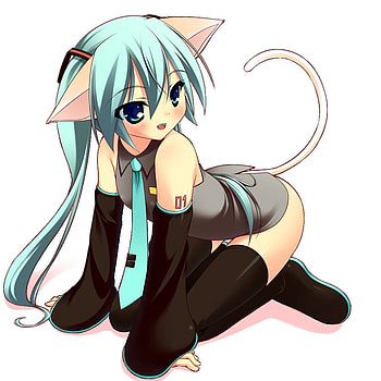 Neko Miku, sexy, girl, cat, anime HD wallpaper