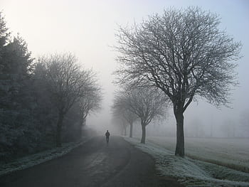 A solitary figure walks along a frosty road surrounded by trees on a misty winter day. HD wallpaper