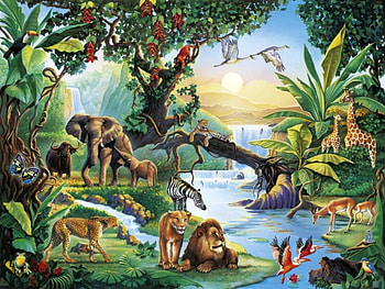 jungle life, jungle, leopard, lion, elephant HD wallpaper