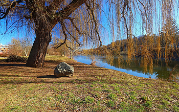 Park by Lake, rock, tree, lake, park HD wallpaper