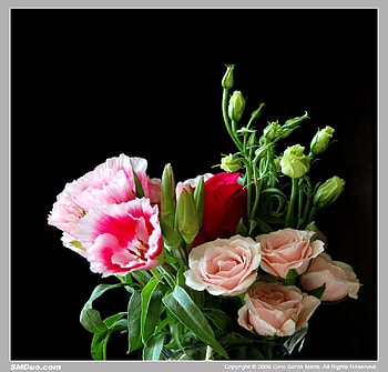 Natures gifts, pink, leaves, peonies, roses, green, flowers, arrangement HD wallpaper