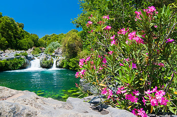 Alcantara river reserve, river, plants, beautiful, oleander, Italy, Sicily, park, lake, reserve, summer, waterfall, view, flowers, pool, pond HD wallpaper