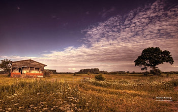 Northern Deutschland, scene, graphy, Deutschland, landscape, , summer, abstract, field, autumn, nature, abaddon HD wallpaper