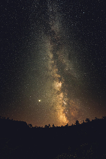 Trees, Stars, Night, Dark, Silhouettes, Milky Way HD phone wallpaper