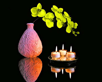 Green reflections, candlelight, plant, flames, green, vase, three candles HD wallpaper
