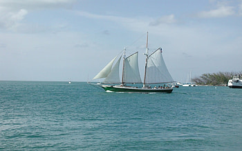 America Replica 01, Key West, sailing ships, florida keys HD wallpaper