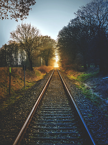 Nature, Trees, Sunset, Railway HD phone wallpaper
