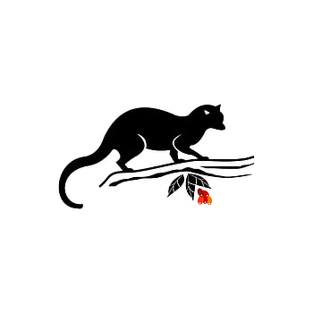 Asian palm civet, Silhouette vector HD phone wallpaper