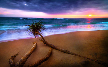 Koggala Beach, Sri Lanka, sea, clouds, colors, sky, sunset HD wallpaper