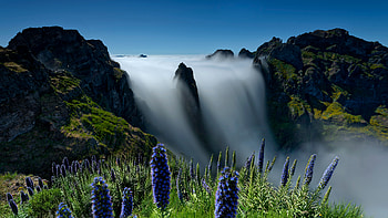 Miradouro Do Ninho Da Manta Madeira Portugal, portugal, waterfall, mountains, mountain, sky, flowers, nature HD wallpaper