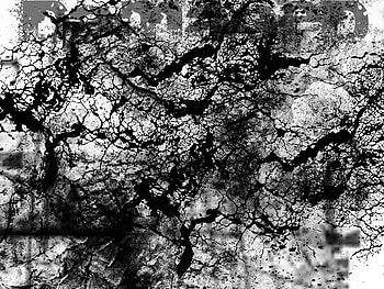 Damaged, smooth squ4d HD wallpaper
