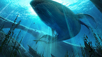 Whale, blue, view from down, art, fantasy, underwater, quentin mabille, water HD wallpaper
