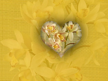 Heart and flowers, hearts, flowers HD wallpaper