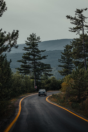 Nature, Trees, Road, Forest, Car, Machine HD phone wallpaper