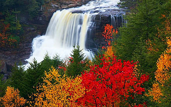 Blackwater falls in autumn, West Virginia, river, fall, autumn, cascades, trees, colors, usa HD wallpaper